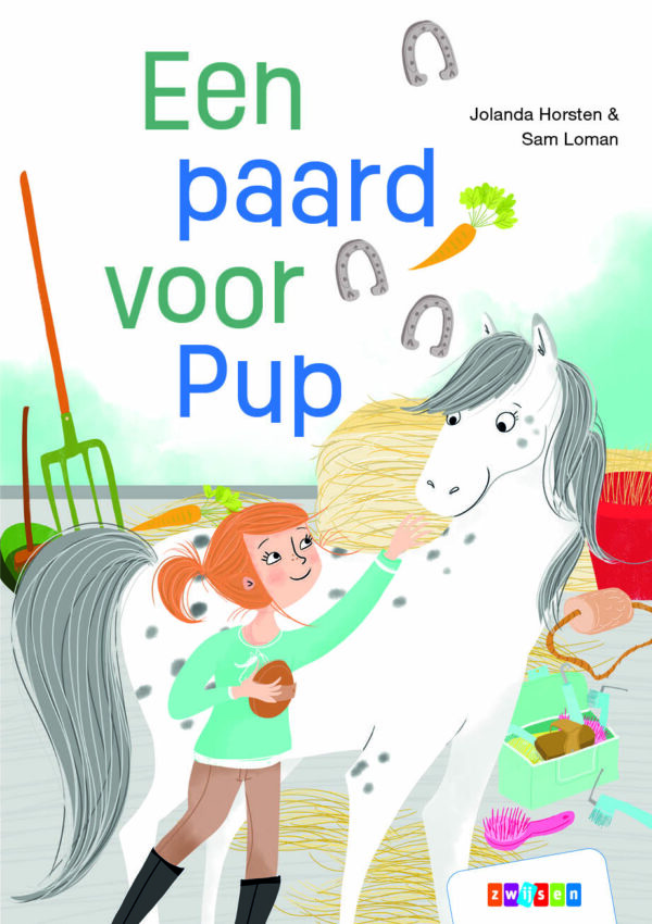 boekenpakket veilig leren lezen zoem versie anker 6 (15 titels)
